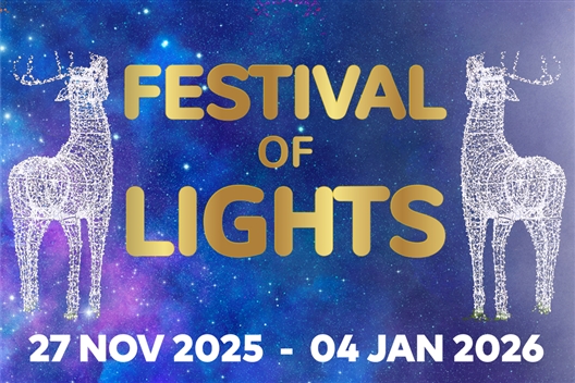FESTIVAL OF LIGHTS